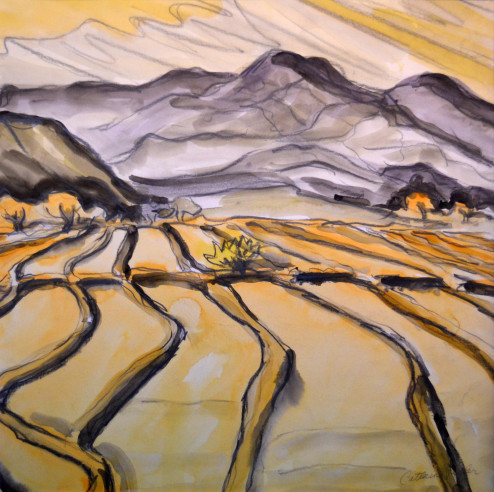 Parker - Watercolor - Desert