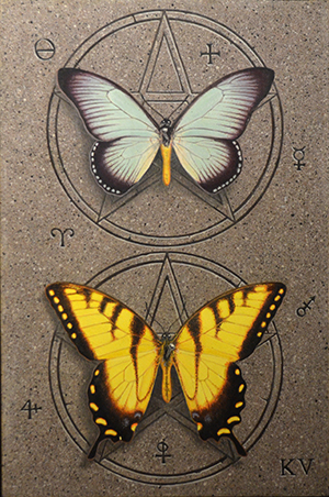 Kelley Vandiver - Watercolor - Butterflies 1