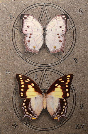 Kelley Vandiver - Watercolor - Butterflies 2